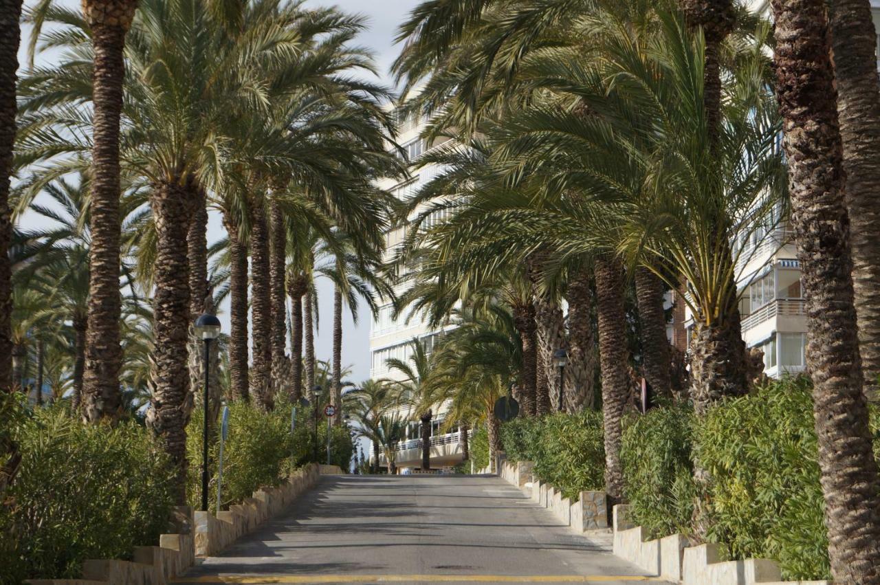 Barbara 20 Playa Muchavista Alicante El Campello Exterior photo